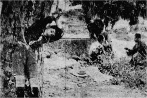 Εικόνα3