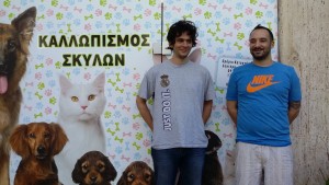 Εικόνα8