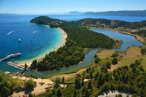 κουκουναριες