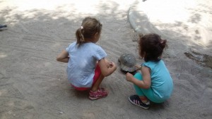 Εικόνα13