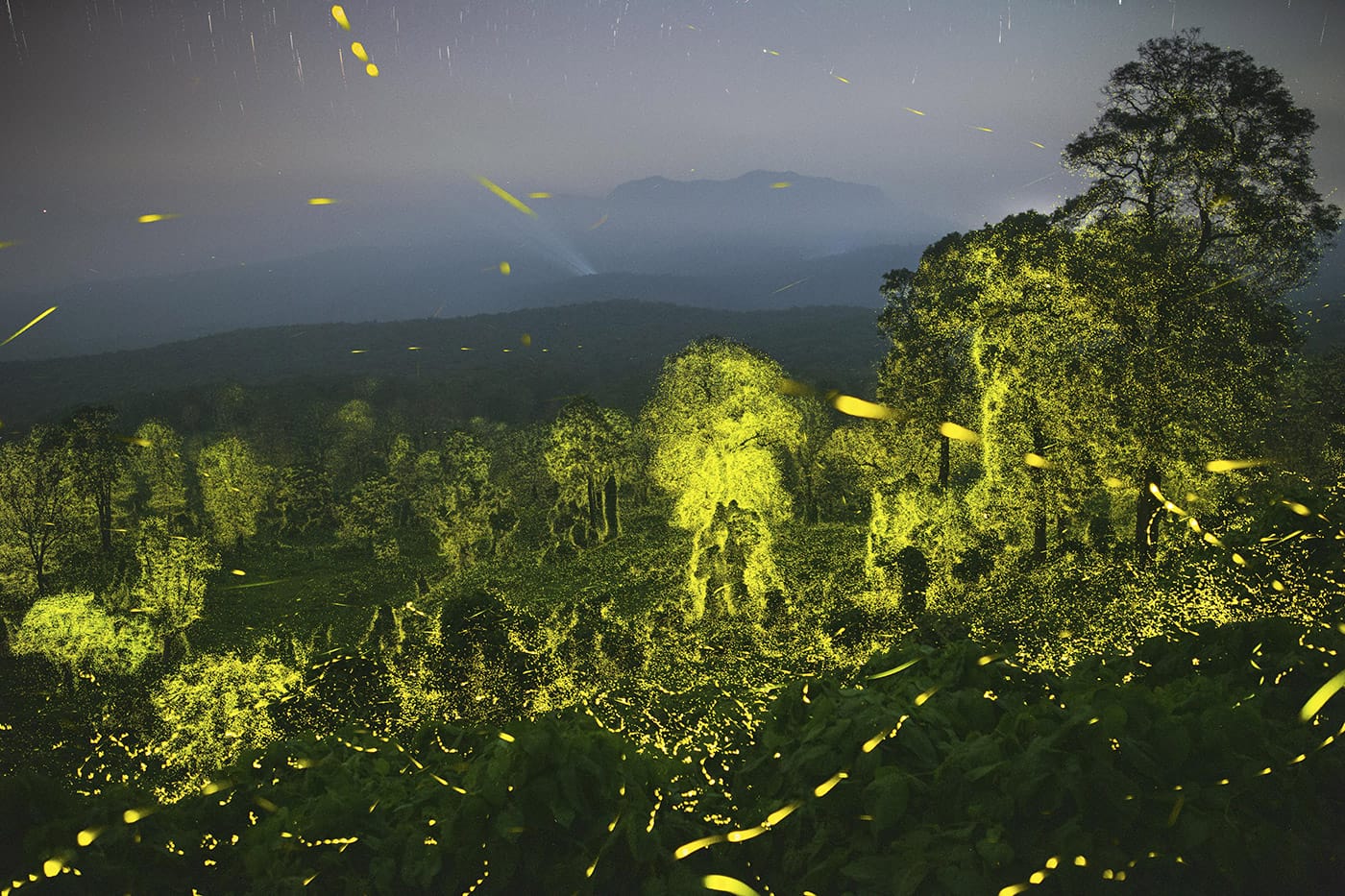 Sriram Murali, “Lights fantastic,” India