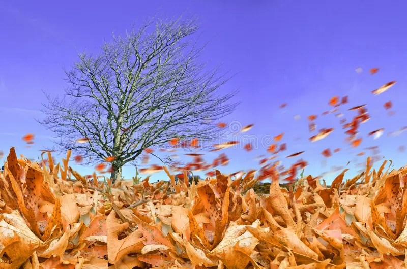 Κάποιοι αλλάζουν με τον άνεμο· κάποιοι απλώς στέκονται όρθιοι.