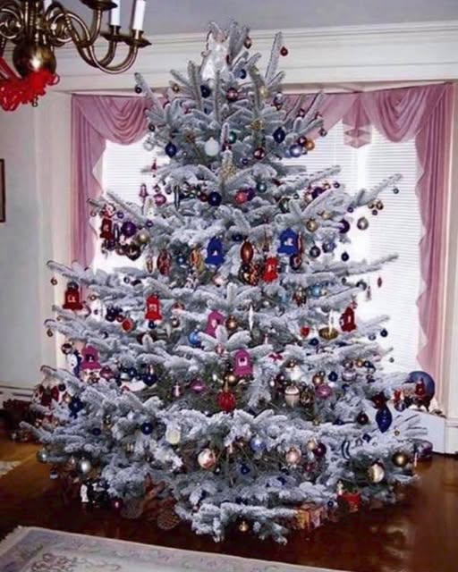 100 Χρόνια Χριστουγεννιάτικα Δέντρα