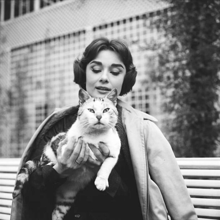 Audrey Hepburn